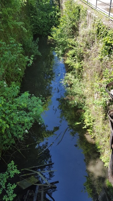 Il Naviglio di Paderno verso sud - maggio 2016