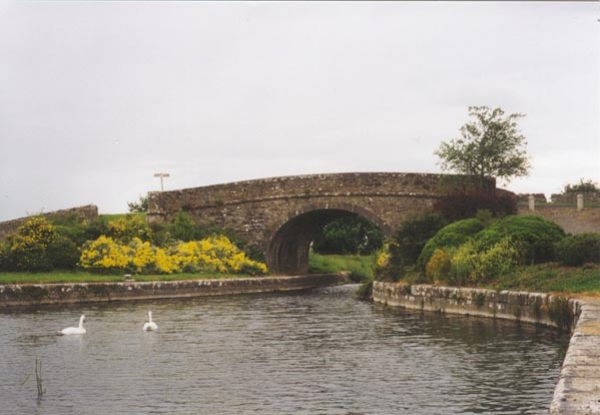 Ponte sul Royal Canal