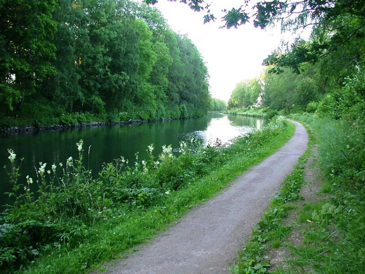 Canale di Gota