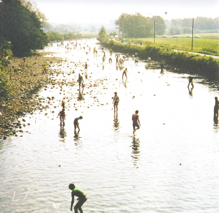 La Sucia – pesca miracolosa durante l’asciutta del Naviglio Grande a Robecchetto con Induno