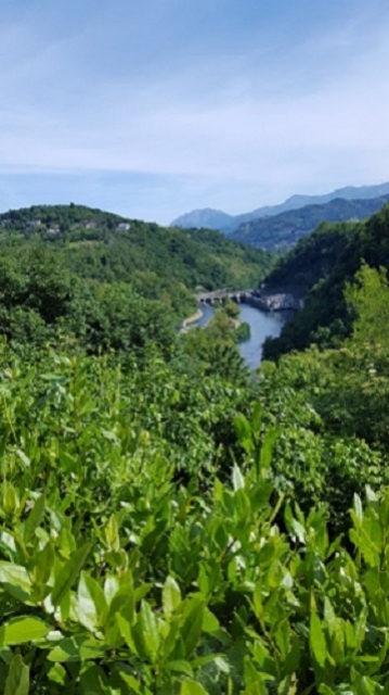 Fiume Adaa  visto da Robbiate - maggio 2016