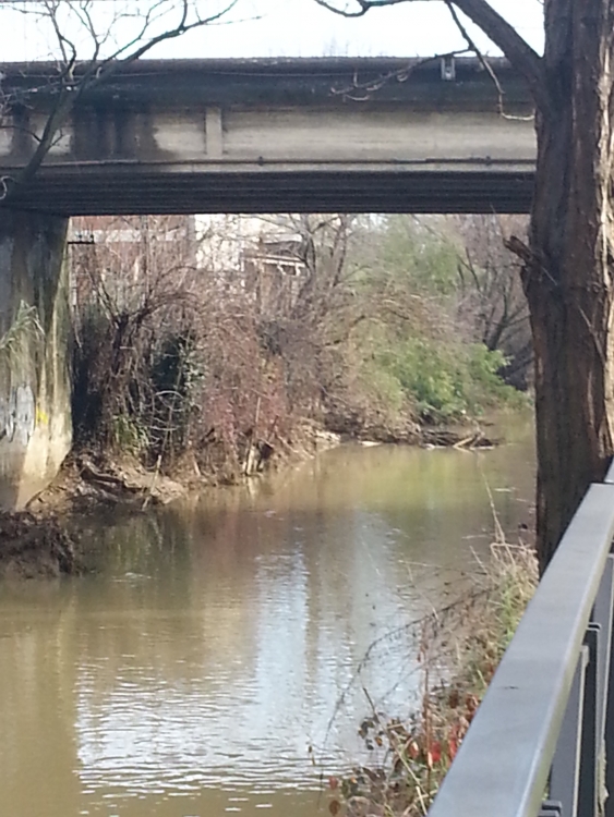 Cologno Monzese, la Martesana sotto il ponte di viale Europe - 6-01-2014