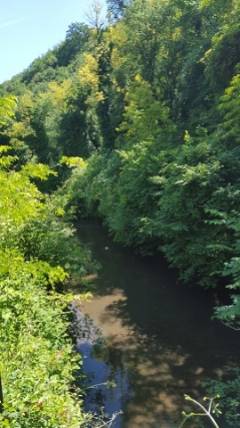 Il Naviglio di Paderno verso sud - maggio 2016