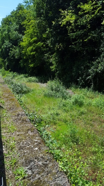 Il Naviglio di Paderno quasi sempre in asciutta - maggio 2016