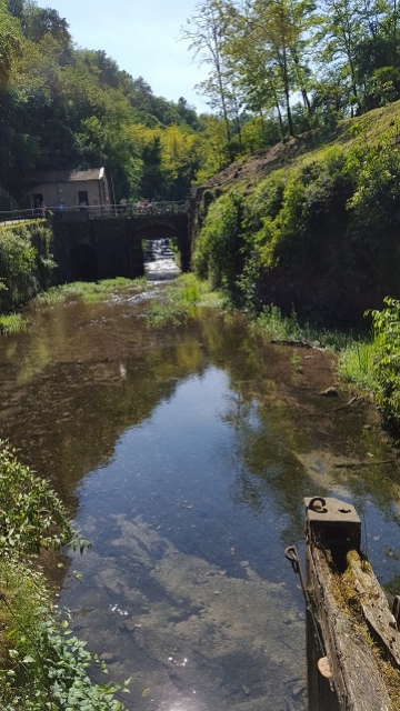 Conca Madre lungo il Naviglio di Paderno - maggio 2016